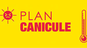 PLAN CANICULE