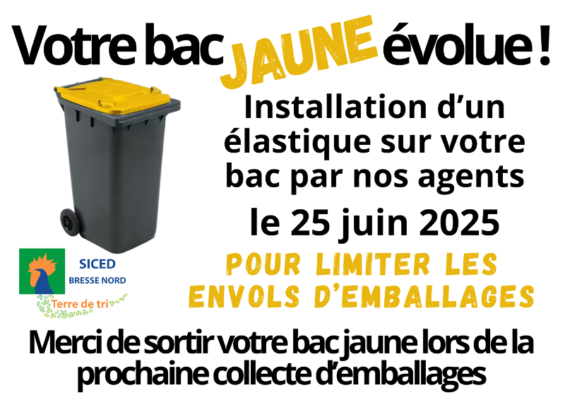 bac jaune